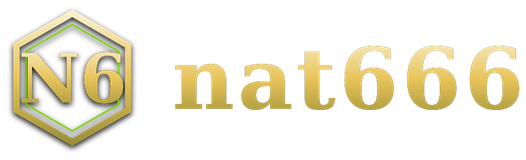 nat666 logo